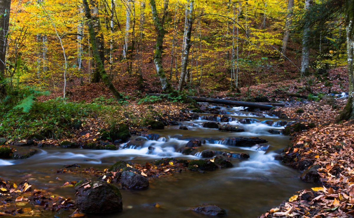 Pictures of mountain streams in autumn