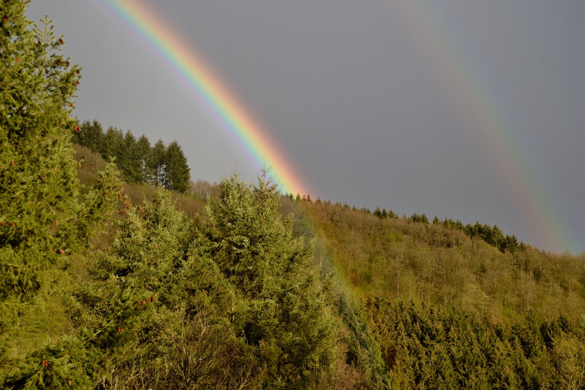 Rainbow pictures in the mountains