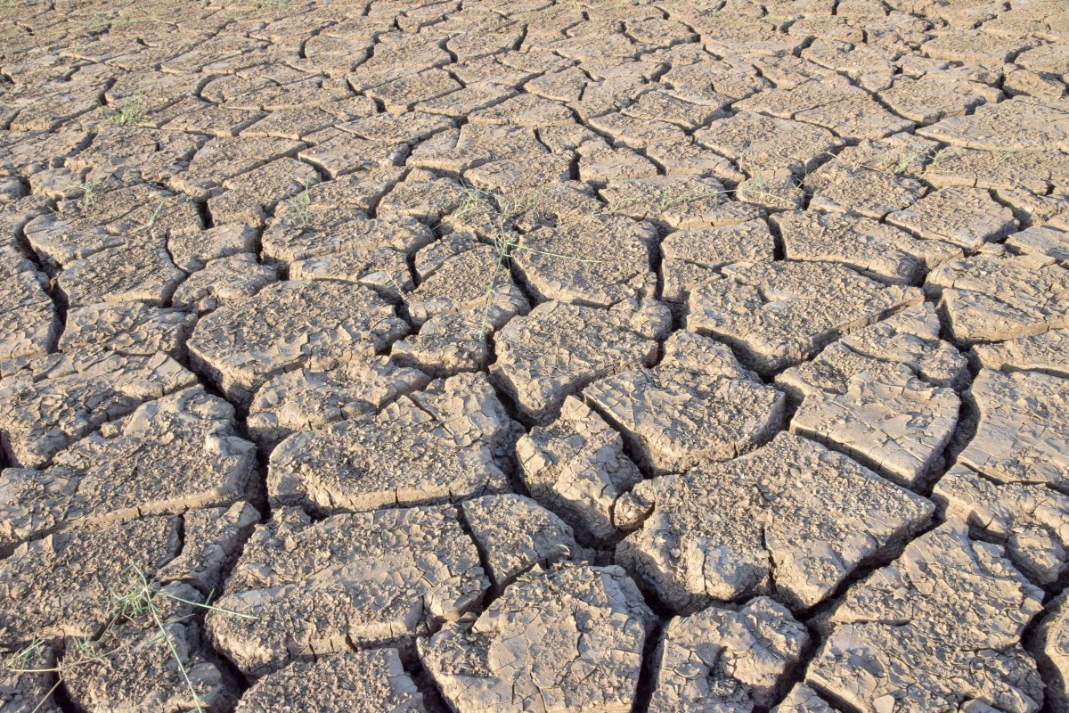 Pictures of dry land in Africa