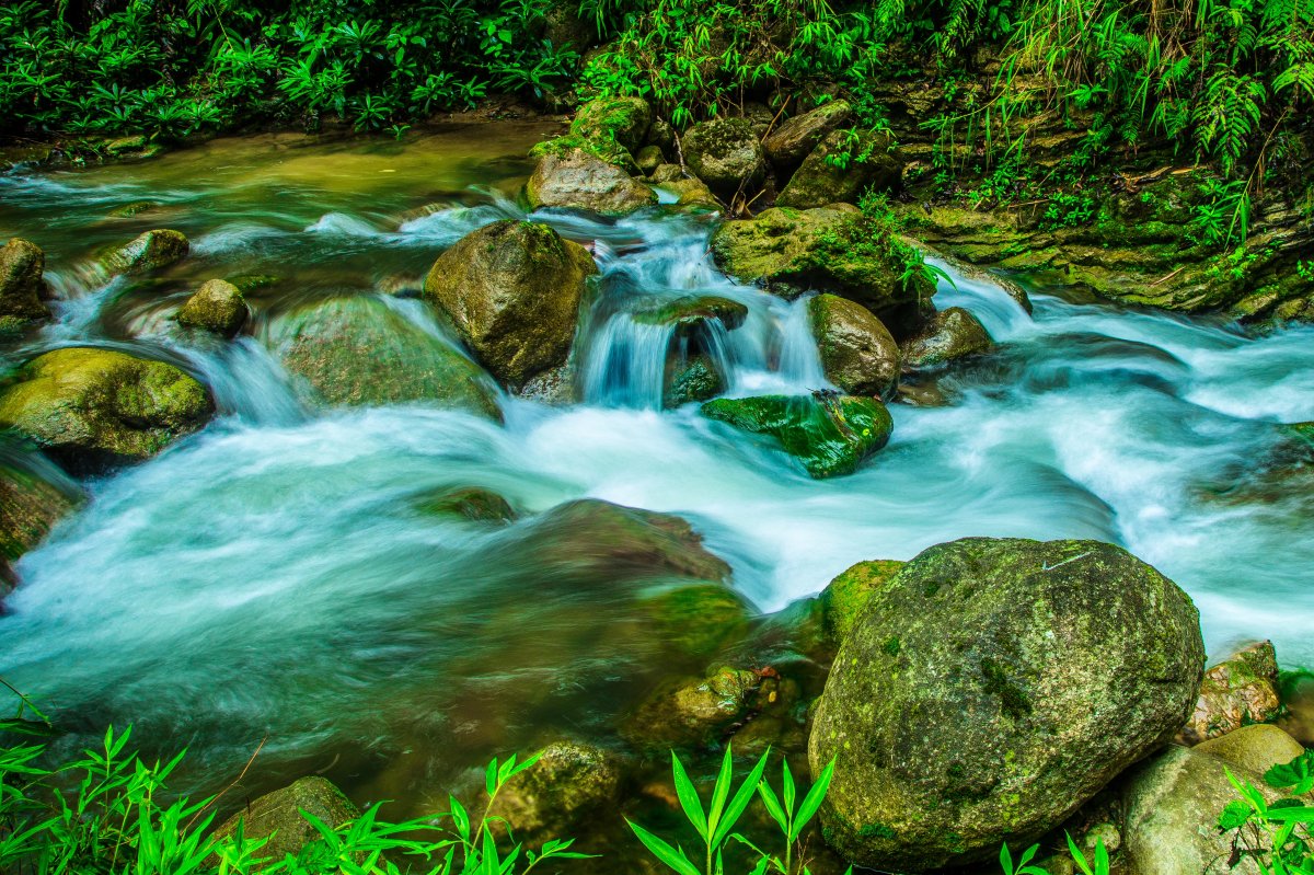 Mountain stream scenery pictures