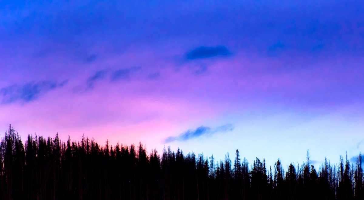 Beautiful scenery picture of purple sky