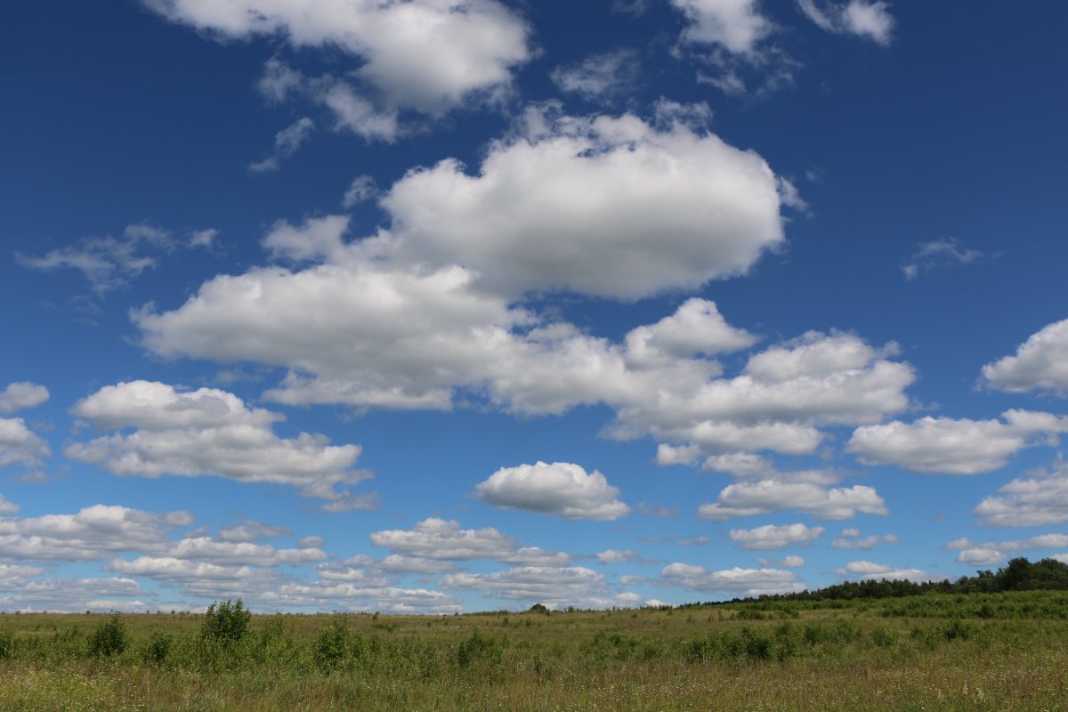 Blue sky and white clouds material picture