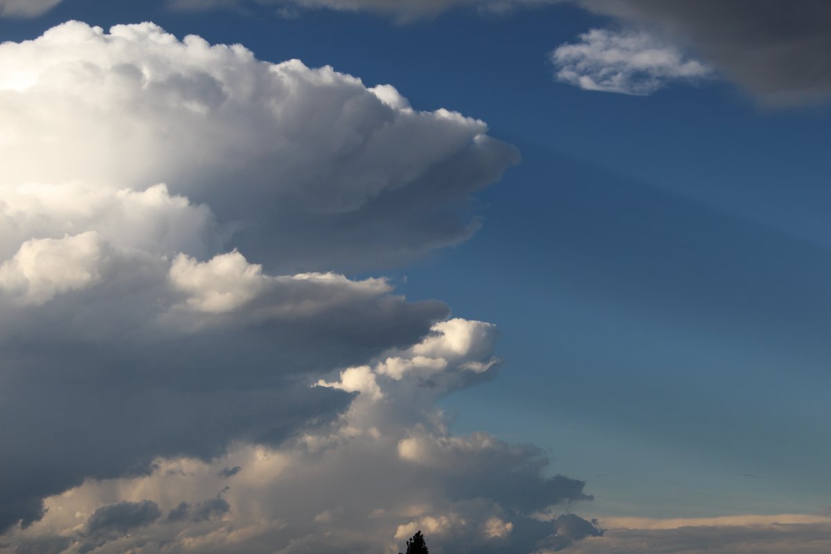 Pictures of cumulus clouds in the sky