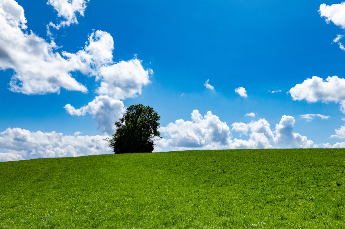 sky grass landscape picture