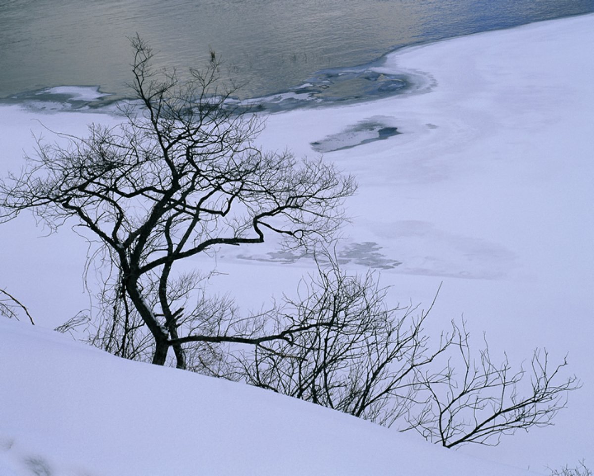 Japanese snow scenery pictures