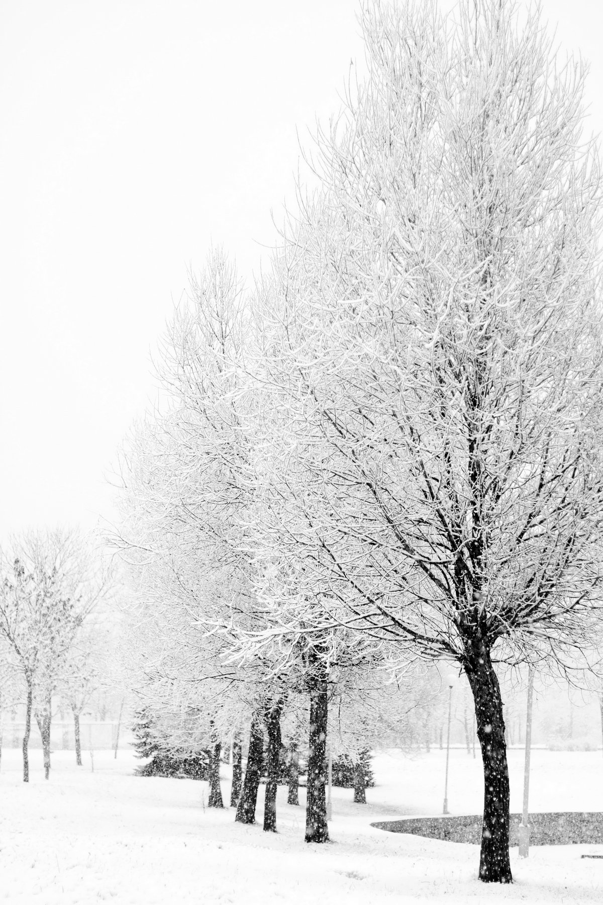 Snowy scenery pictures in winter