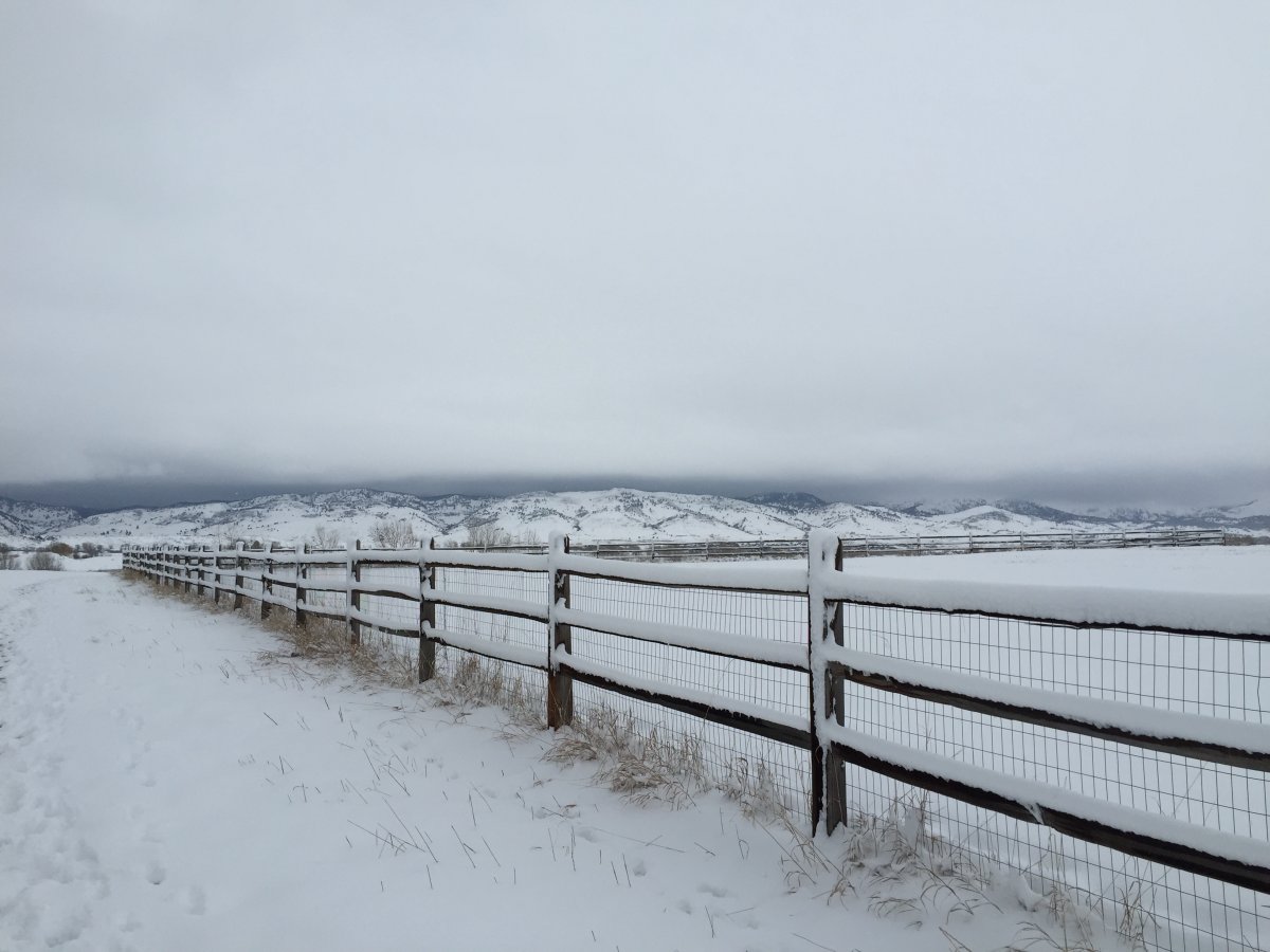 Fence snow scene picture