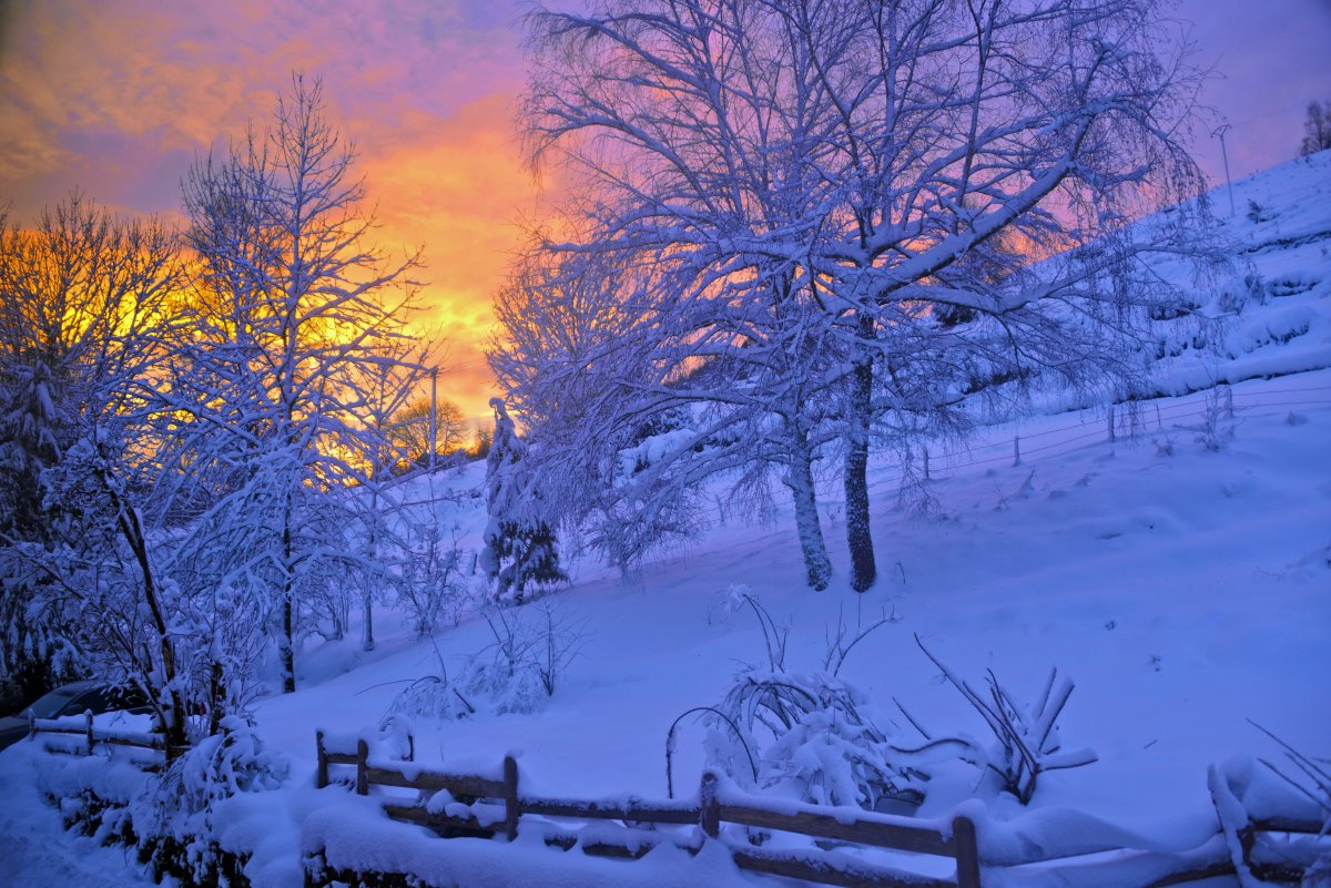 Winter dusk sunset snow scene picture