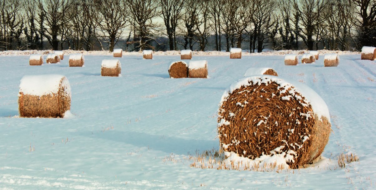 Winter snow haystack pictures