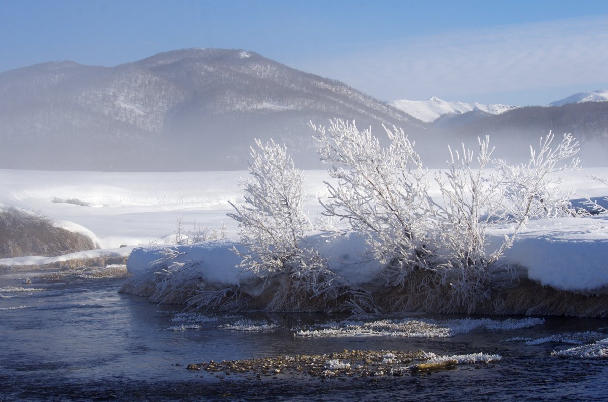 Frost landscape picture on river bank