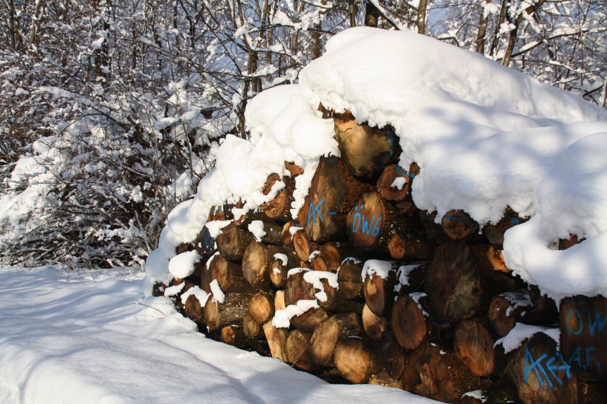 Picture of firewood pile in the snow in winter