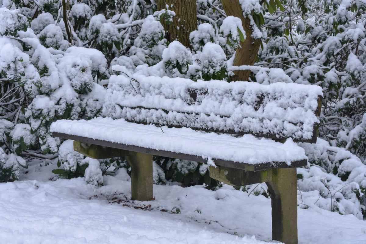 Pictures of chairs covered with snow in winter