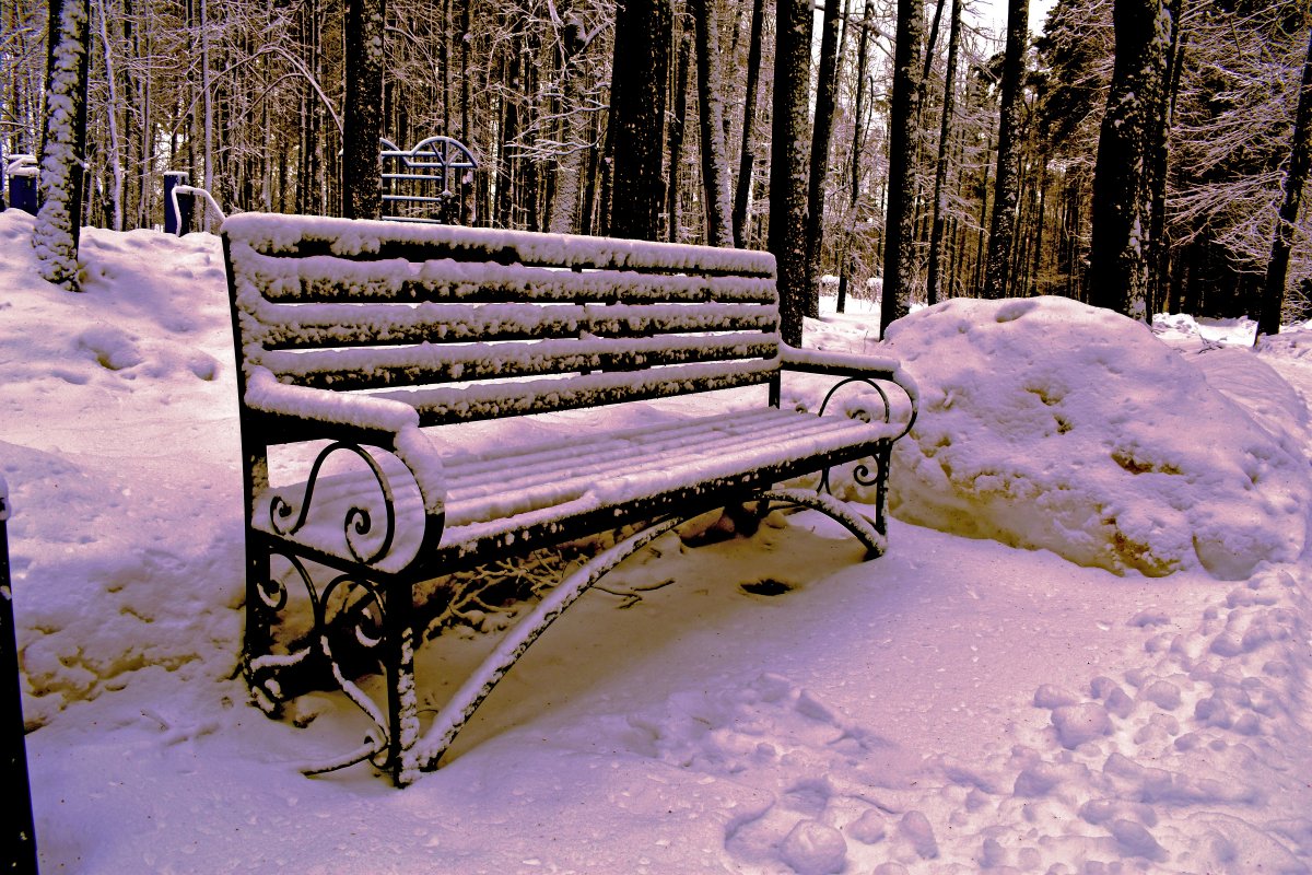 Picture of snow on snow seats in winter