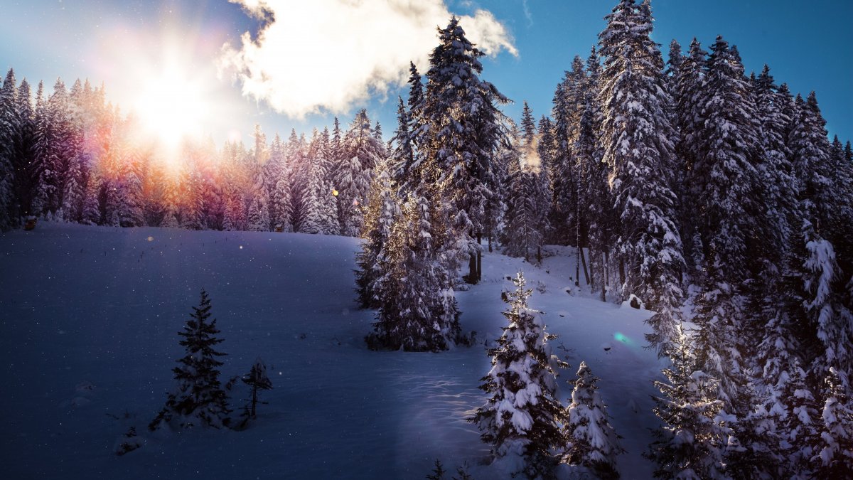 Winter morning snow mountain landscape picture