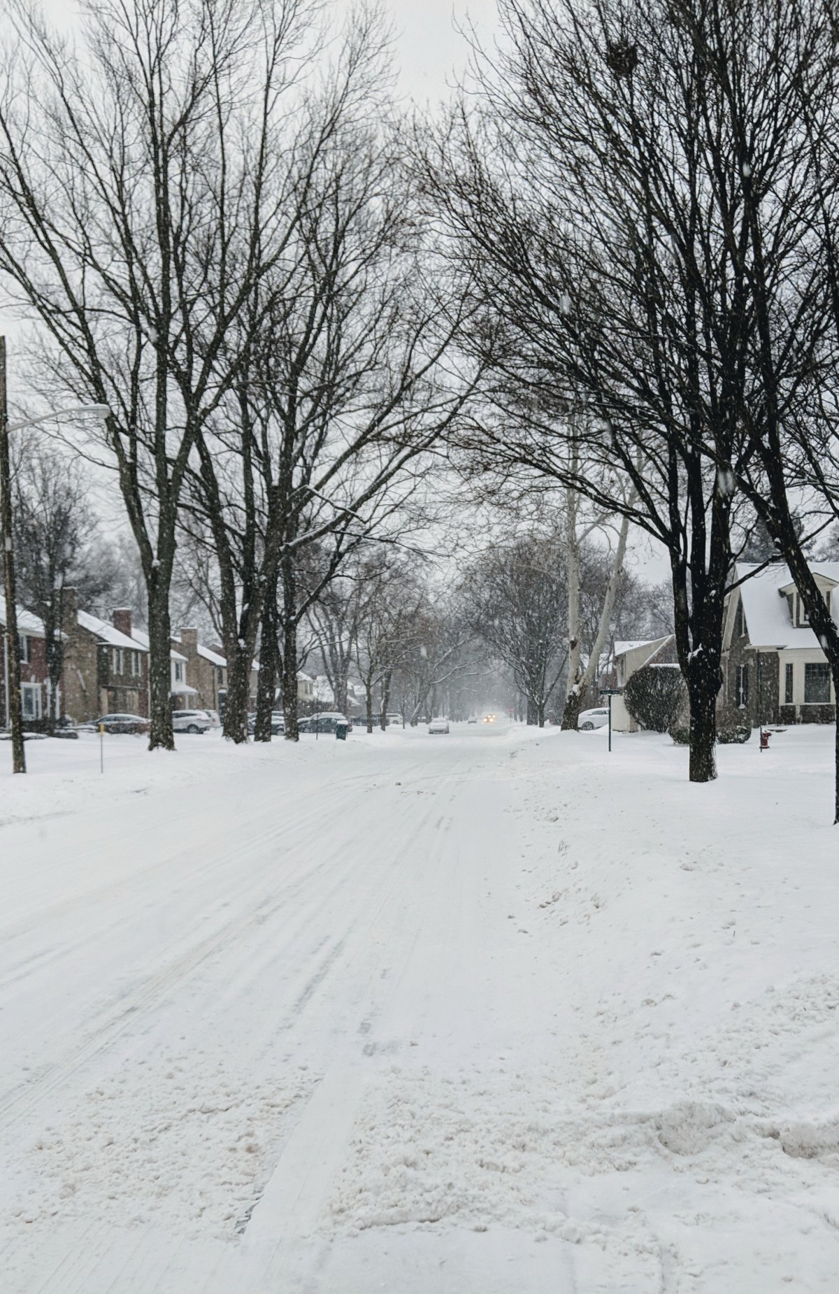 Winter street snow scene pictures