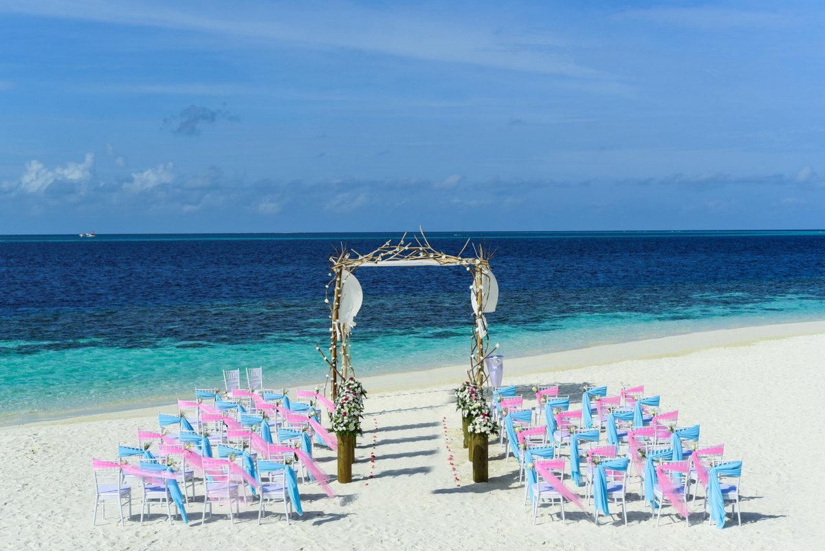 Beach wedding scene layout pictures