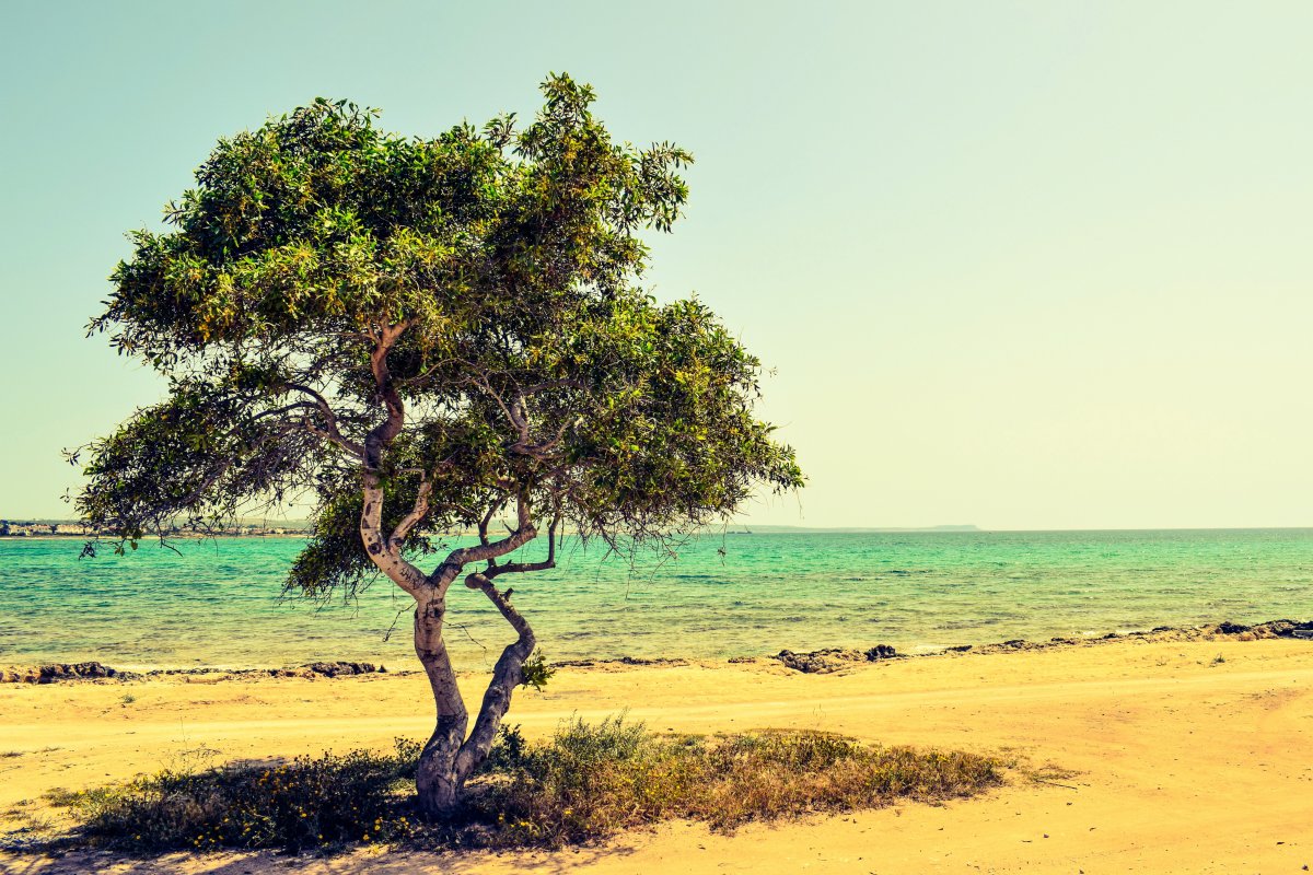Beautiful scenery on the seaside of Cyprus