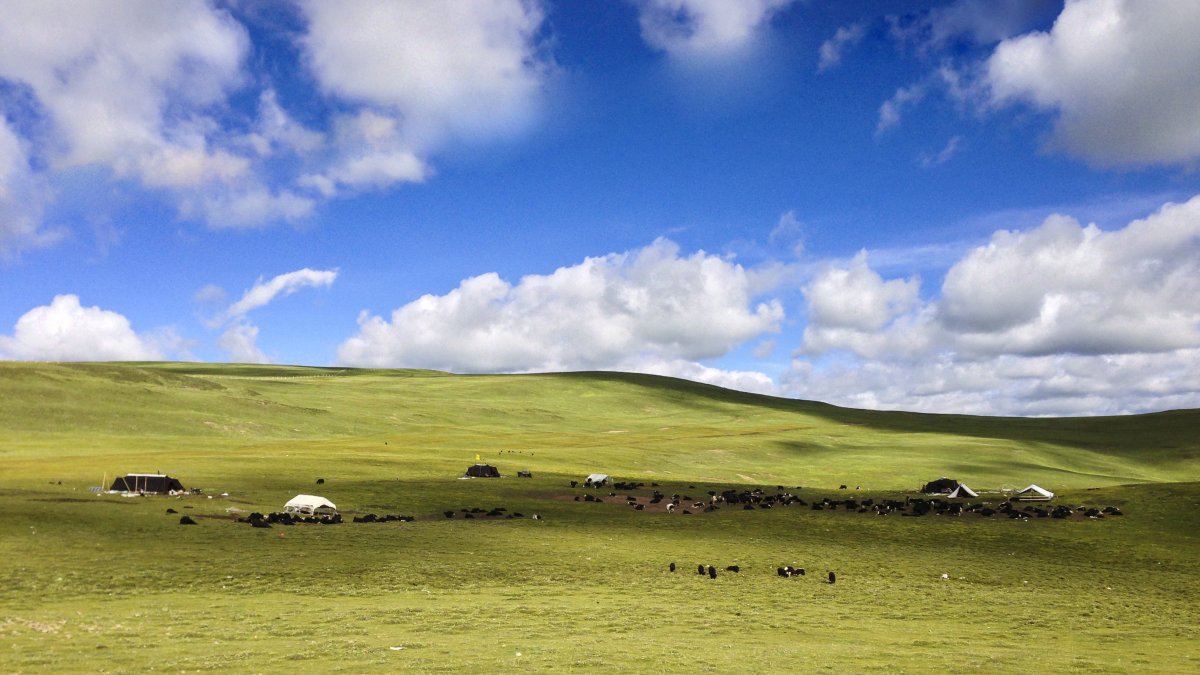 HD pictures of blue sky, white clouds and grassland