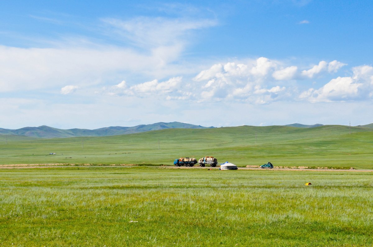 Mongolian grassland pictures