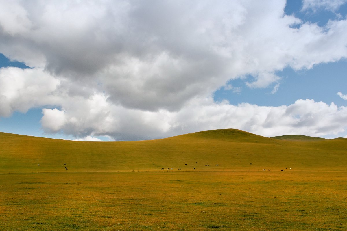Pictures of Hulunbuir Prairie in Inner Mongolia