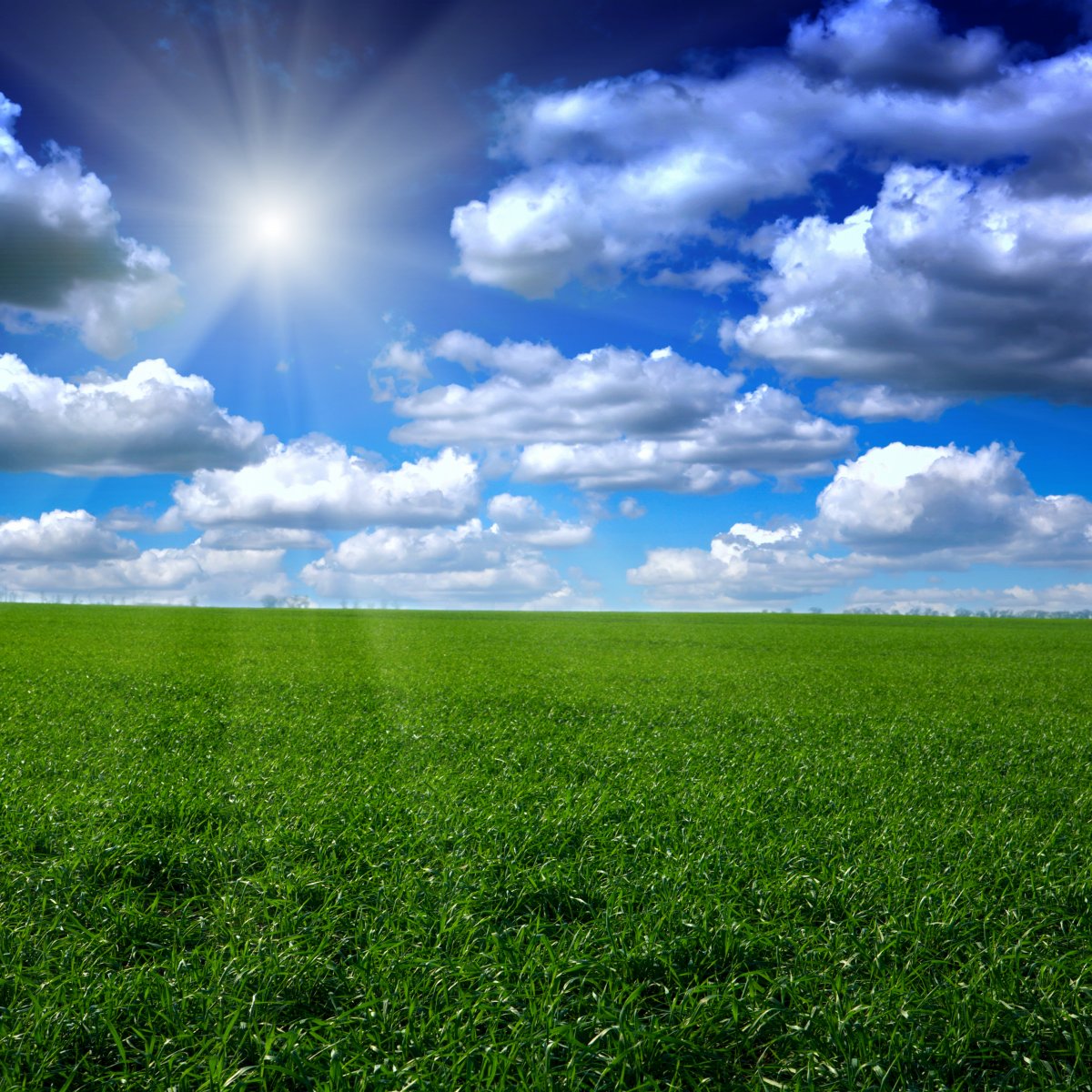 HD grass sky pictures