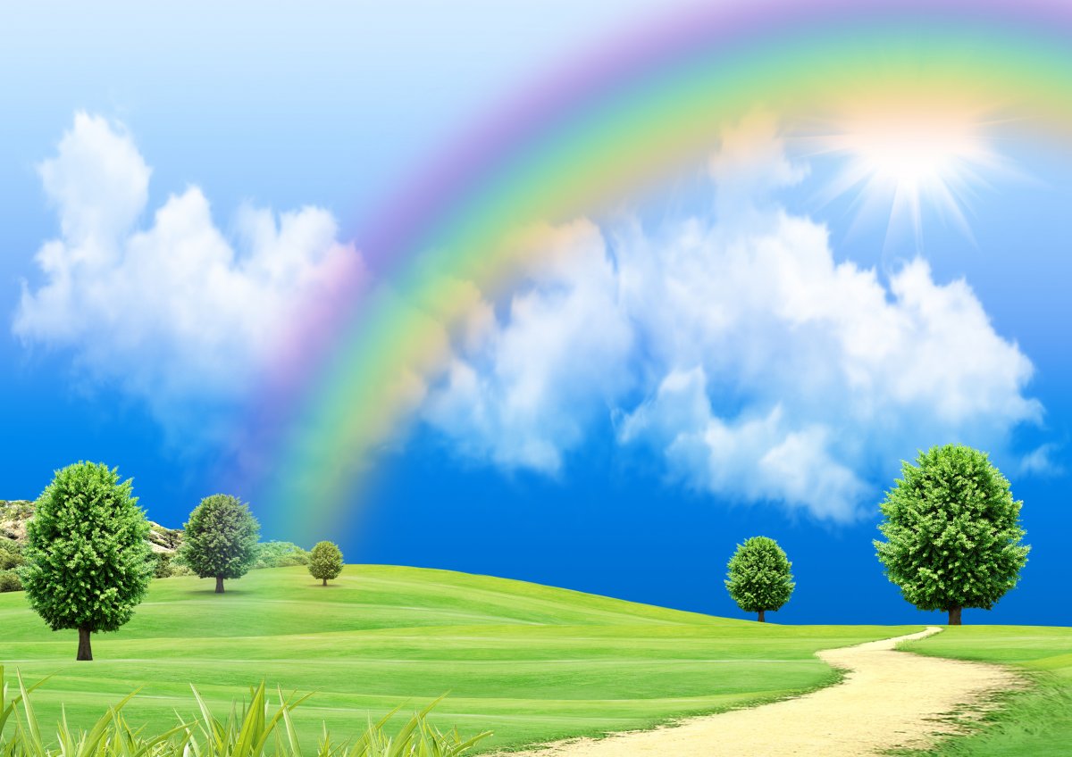 HD Rainbow Grass Pictures