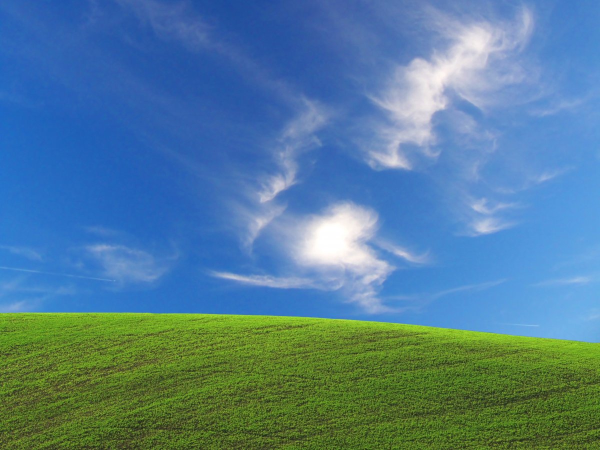 HD blue sky and grass pictures