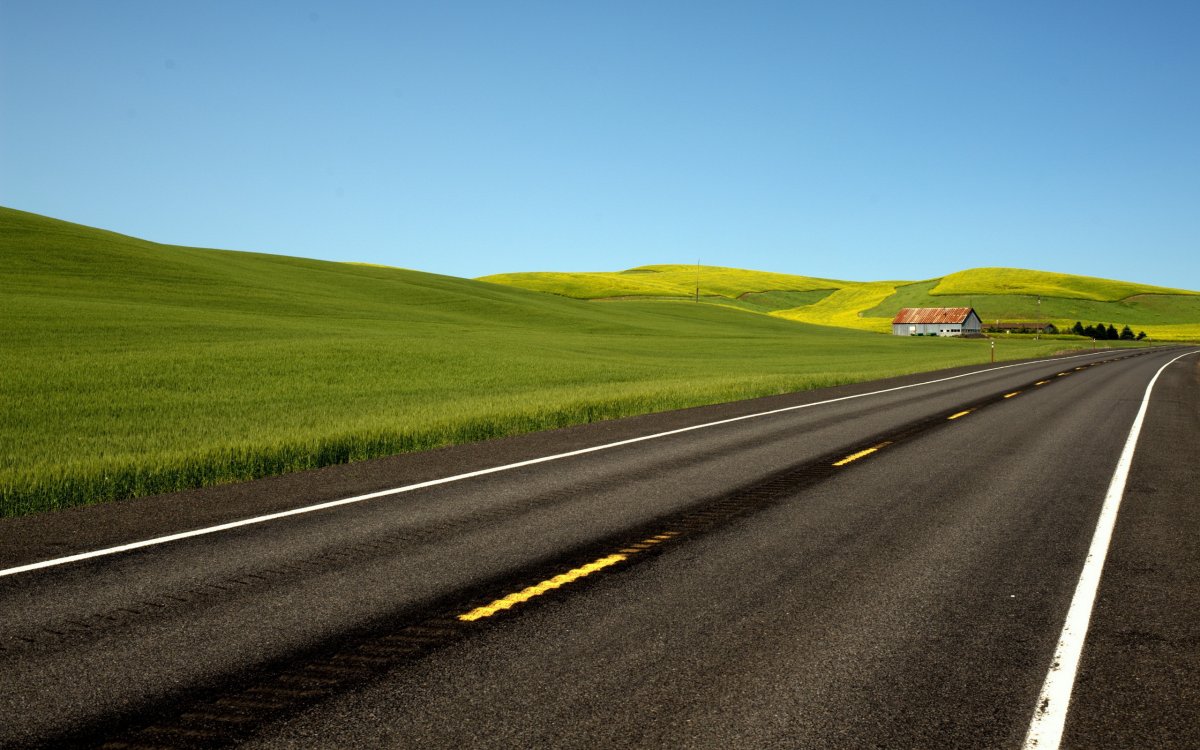 Green grass asphalt road picture