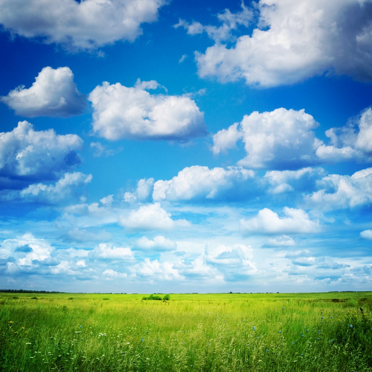 Beautiful blue sky, white clouds and grassland pictures