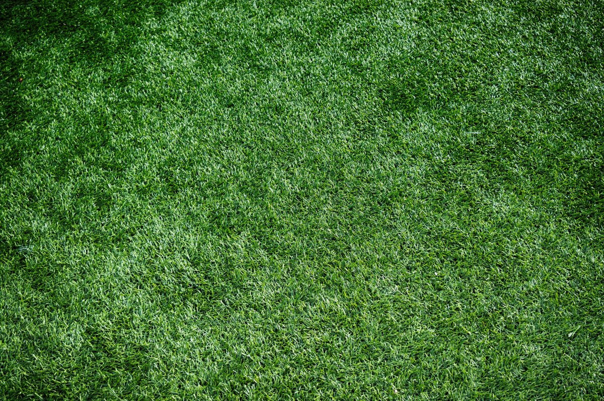 Artificial turf pictures