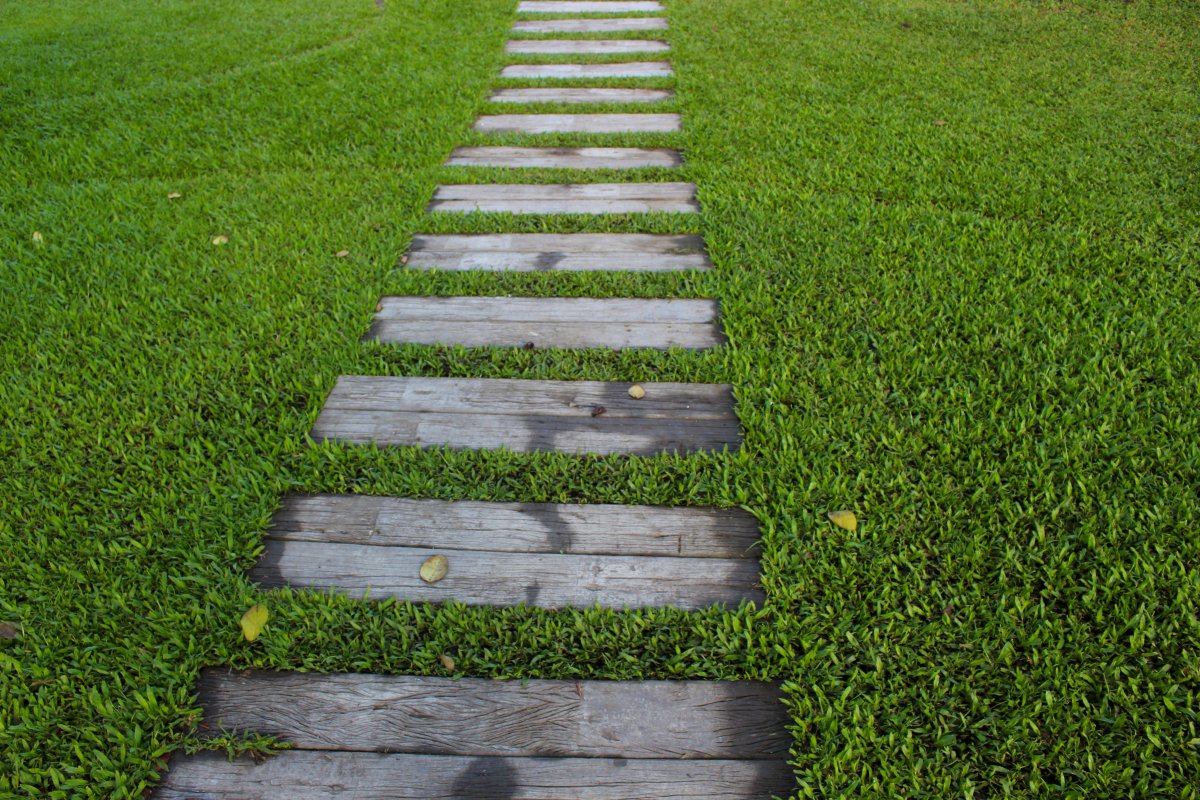 grass path pictures