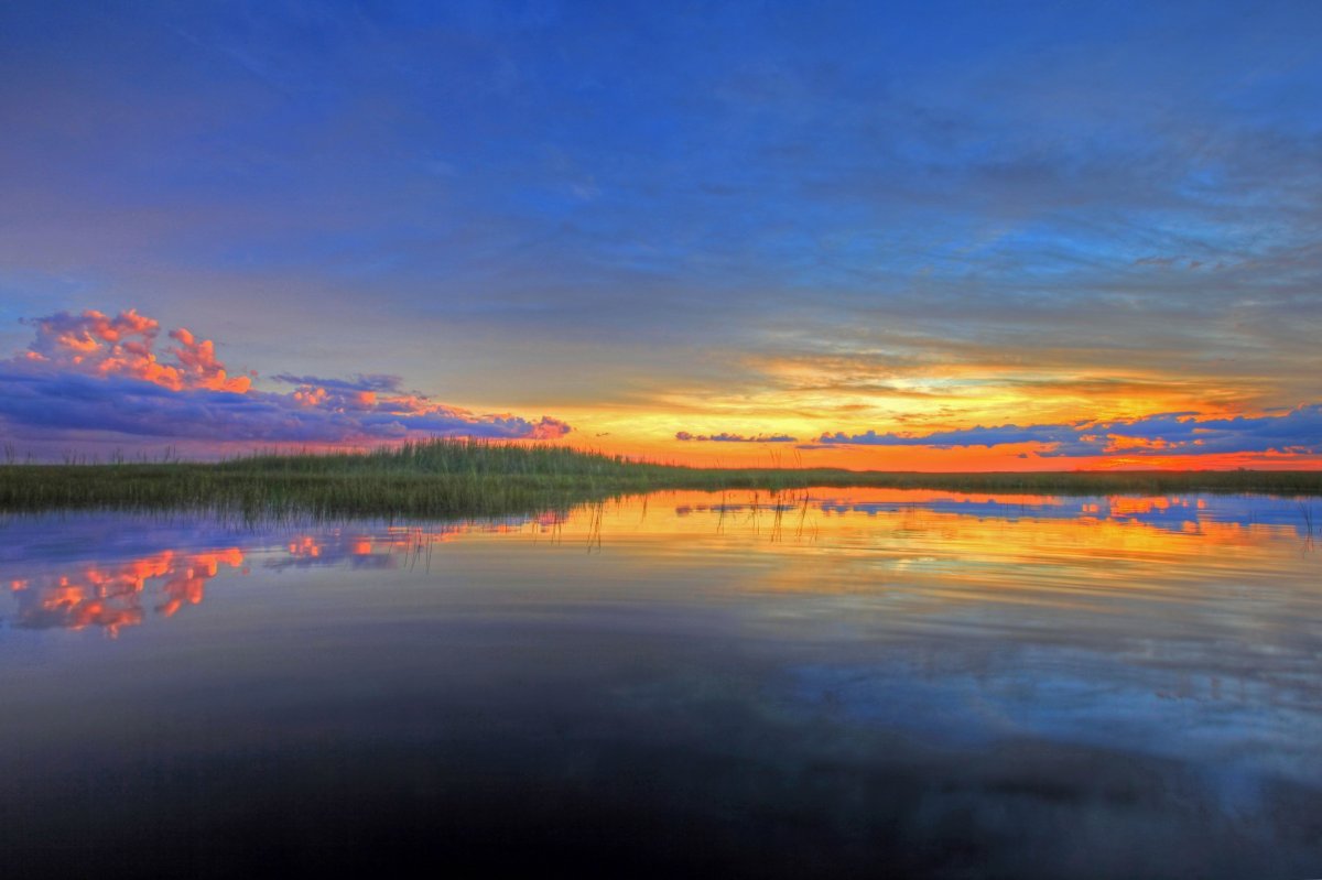 swamp sunset landscape picture