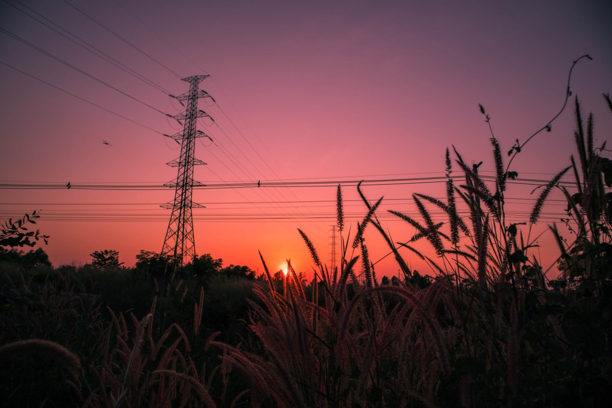 Landscape pictures of telephone poles at dusk