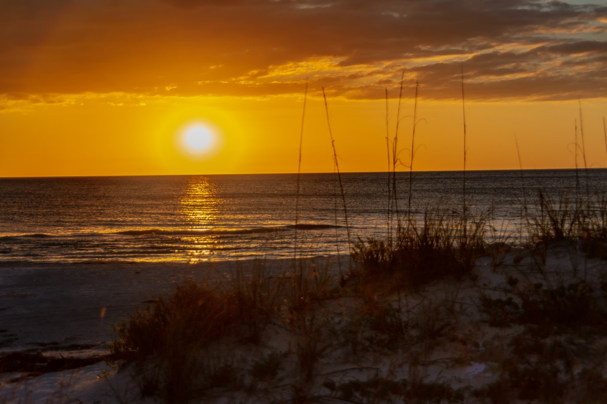 ocean beach sunset landscape picture