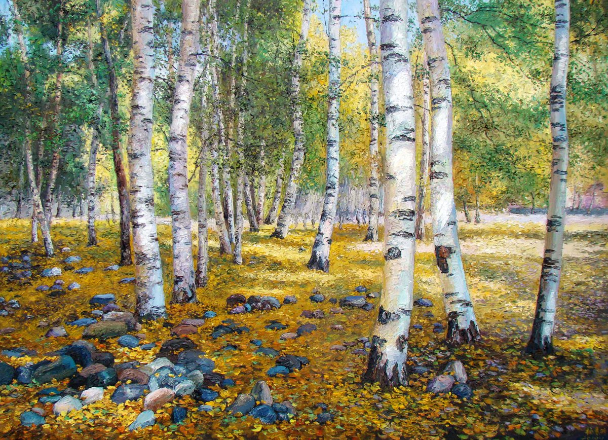 Autumn birch forest pictures