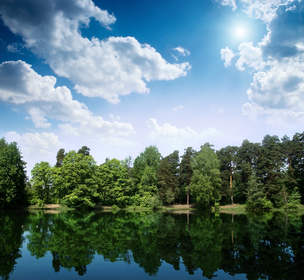 Blue sky, white clouds, green trees, river pictures