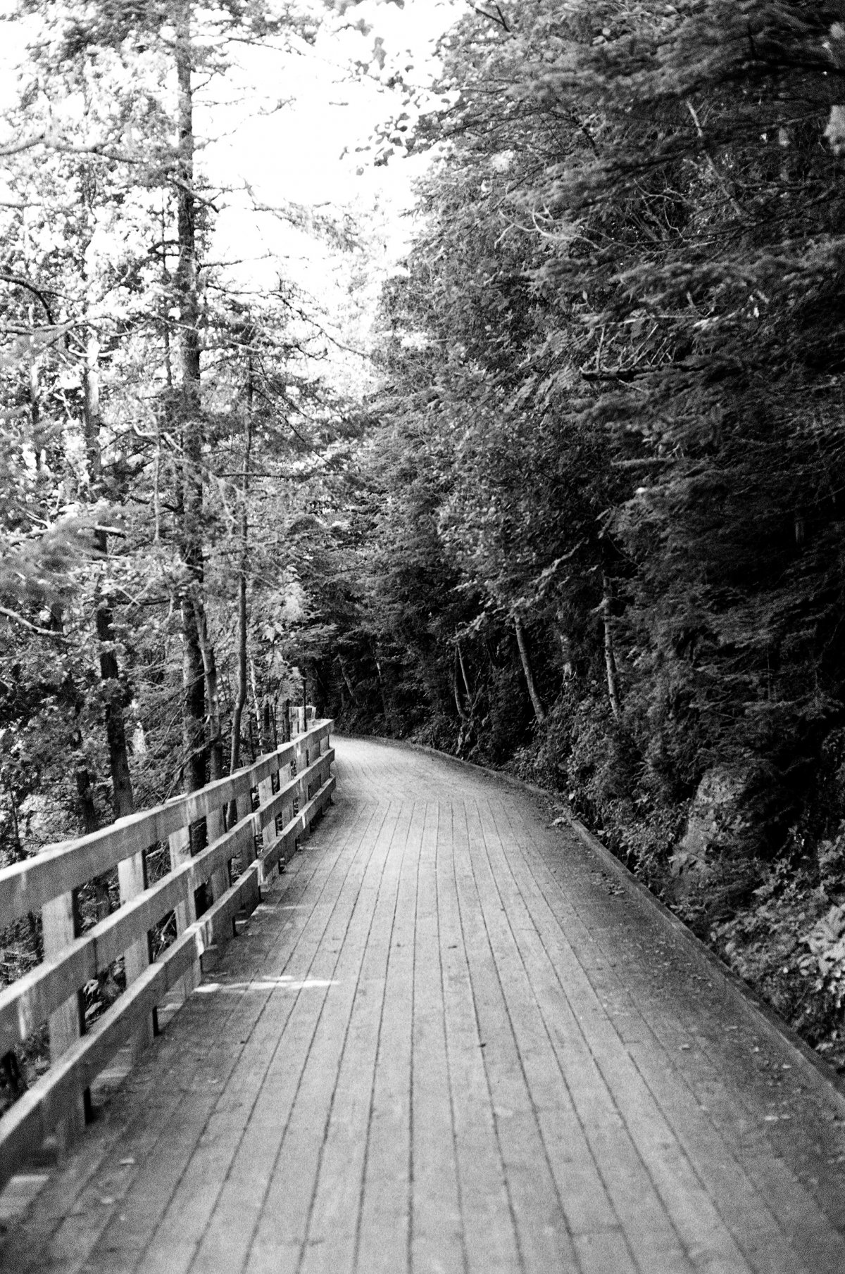 Black and white wooden plank road pictures