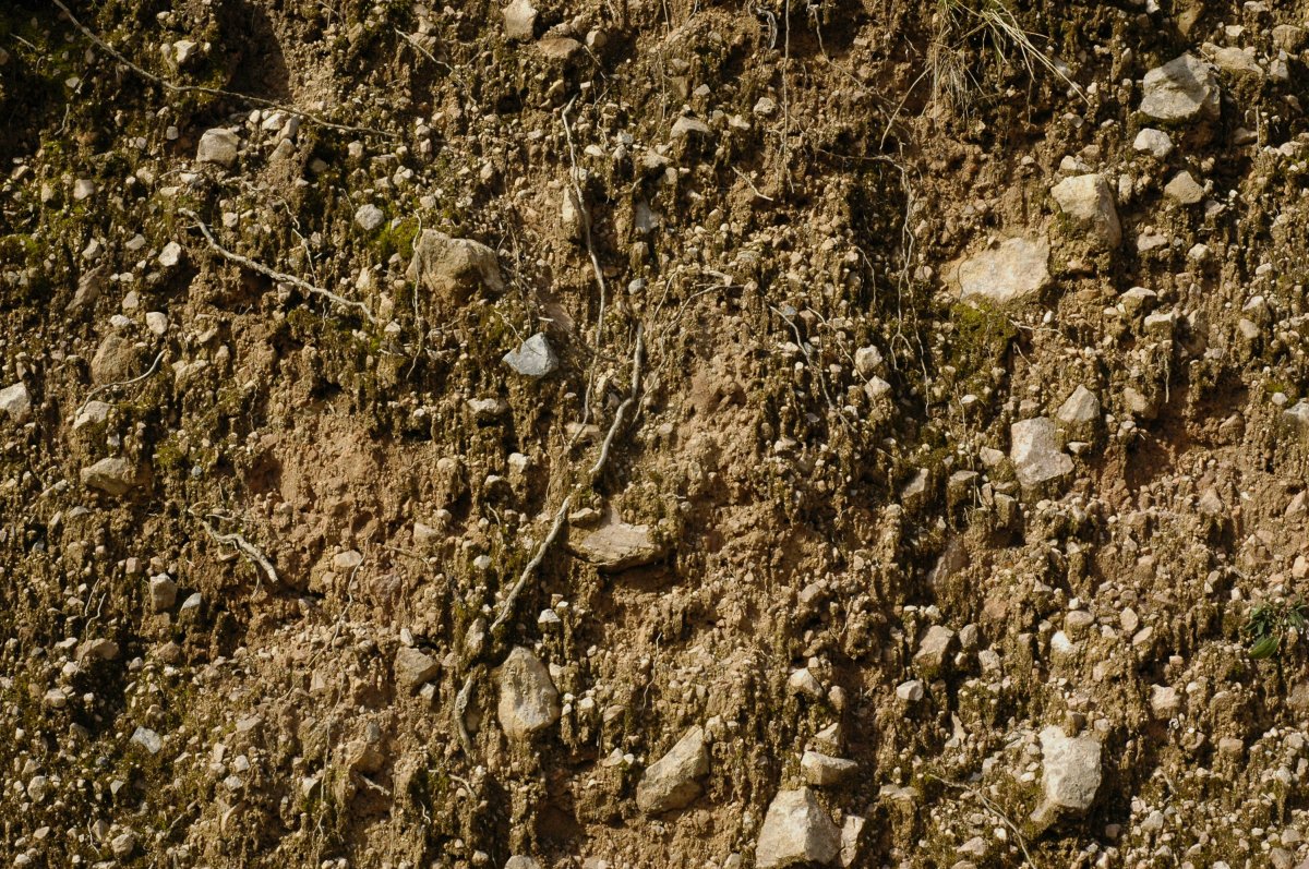 soil soil pictures