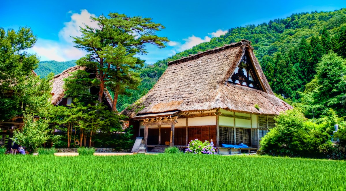 thatched house pictures