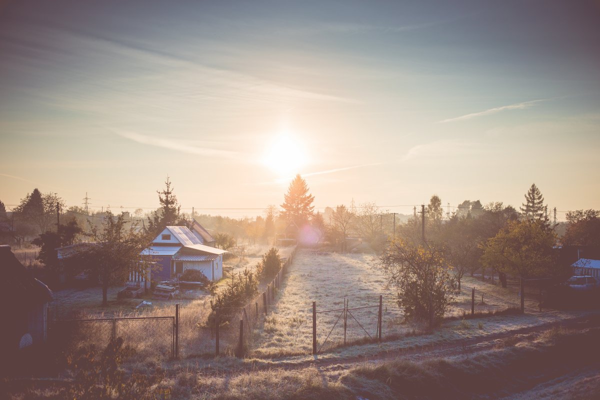 Rural pictures of winter morning