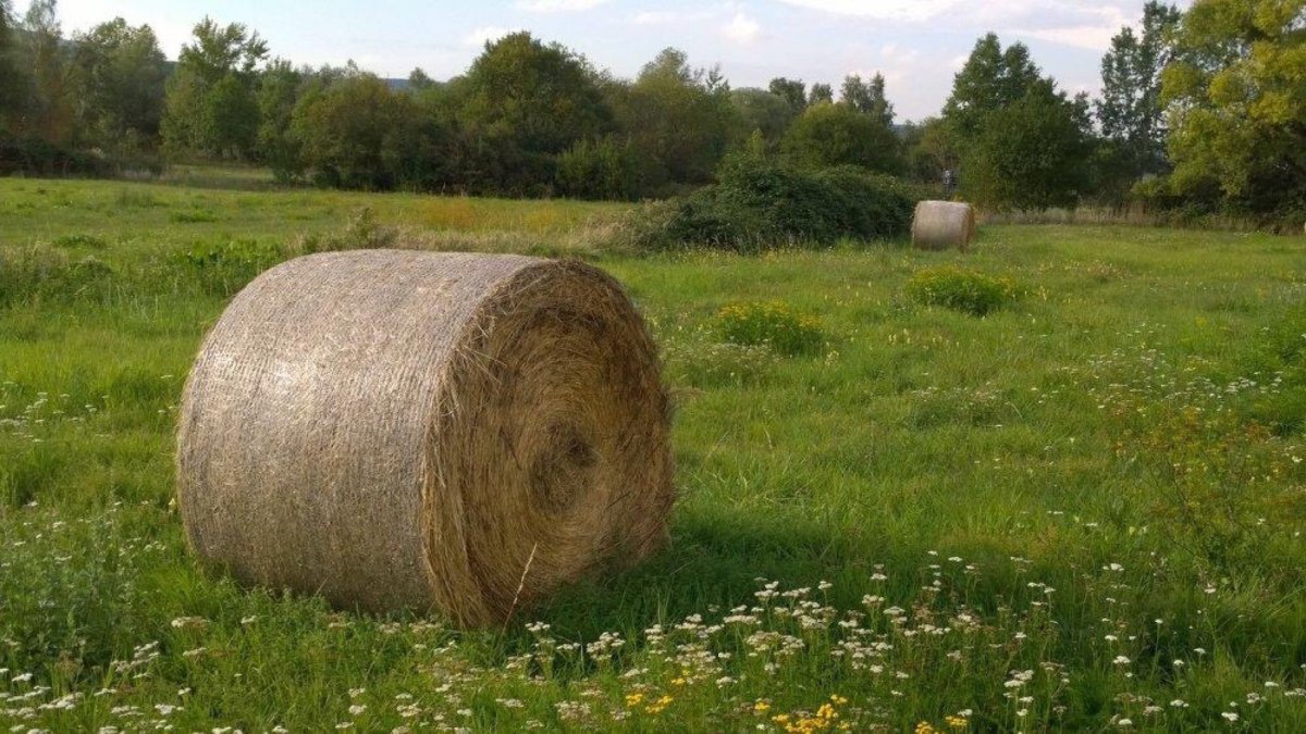 Pictures of grass straw bales