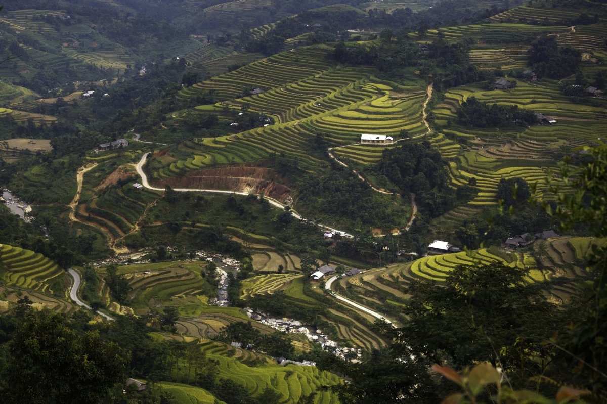 Beautiful rural terraced landscape pictures