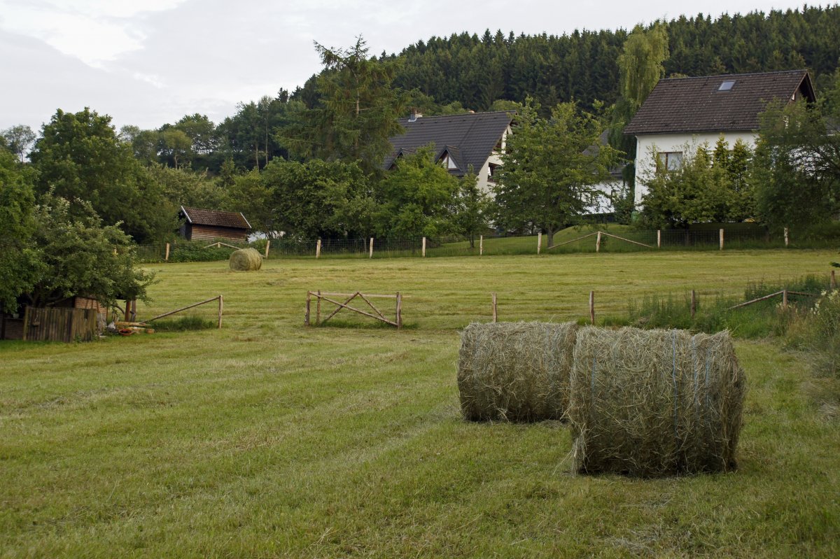 Grassland haystack landscape picture
