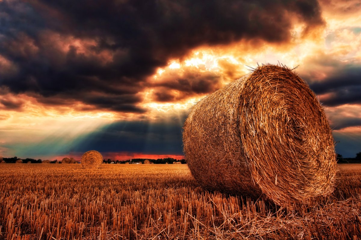 Autumn straw bale pictures