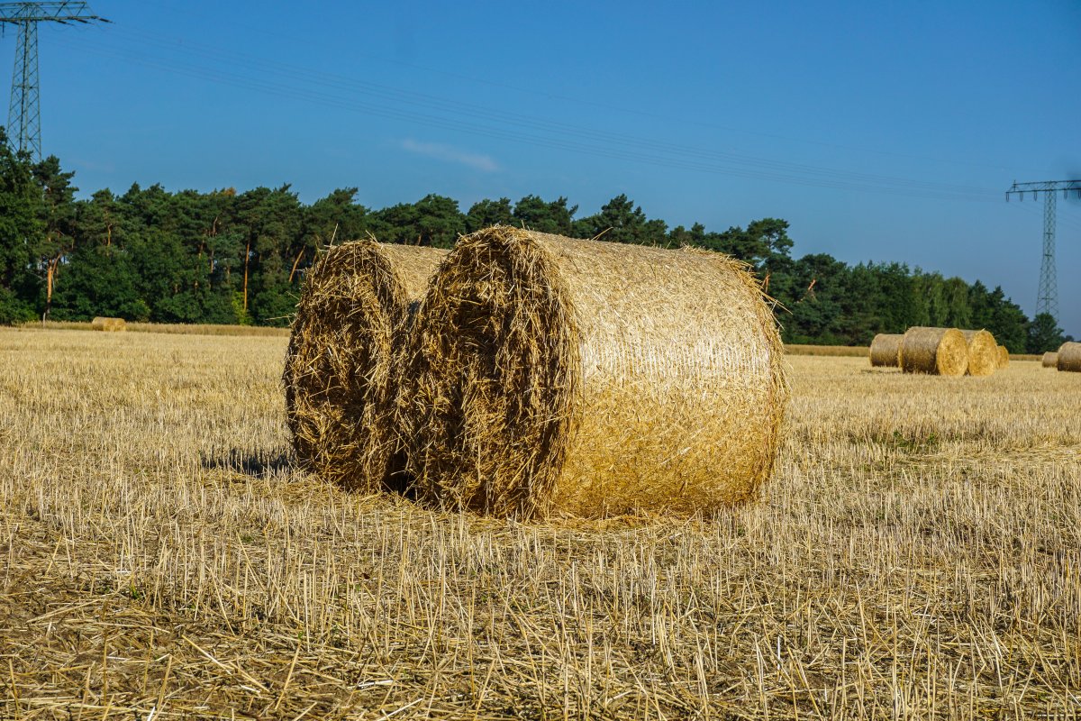 Straw bale picture material