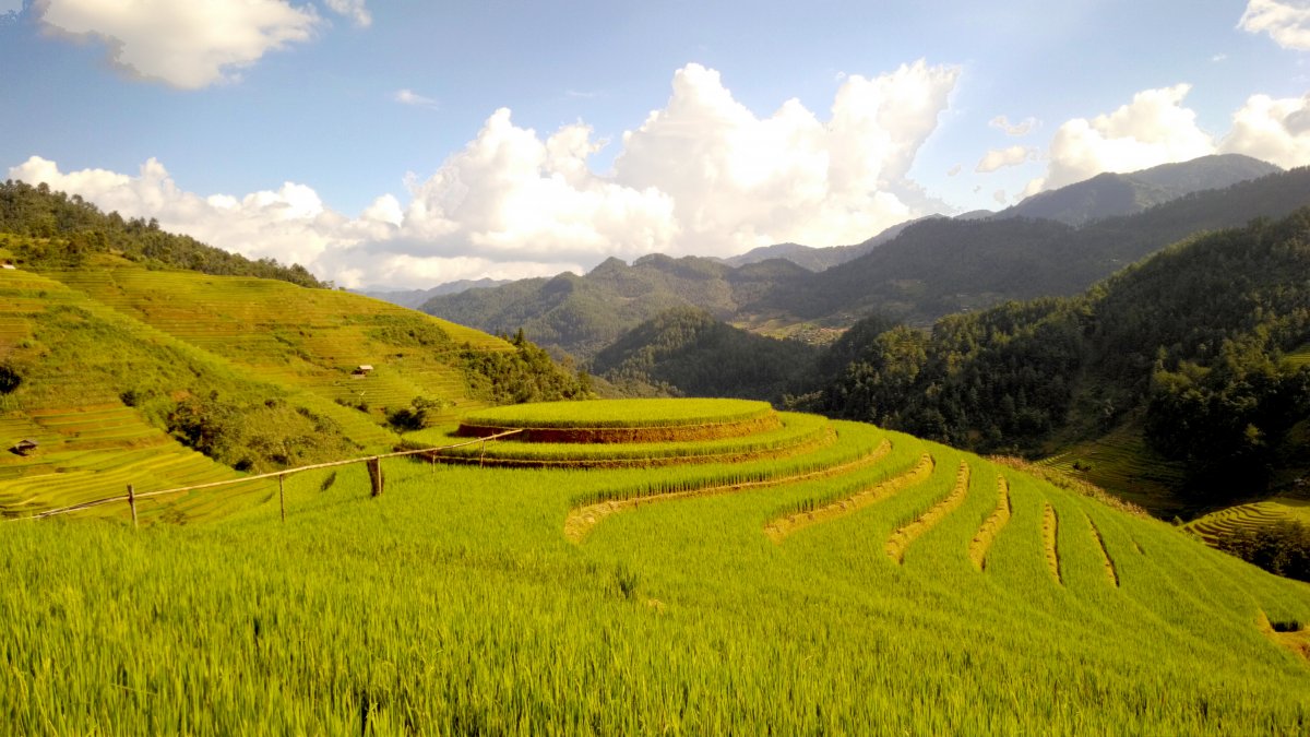 Rural rice terraces landscape pictures