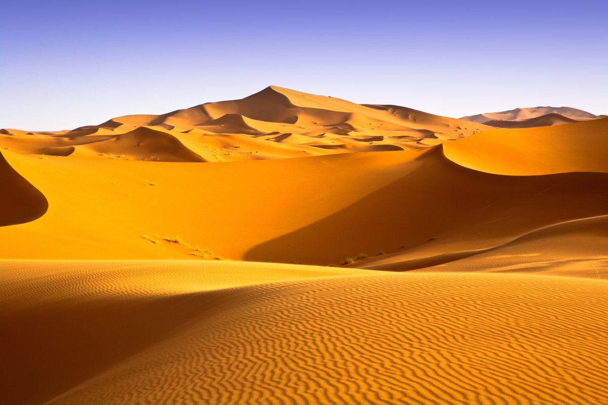 desert picture background