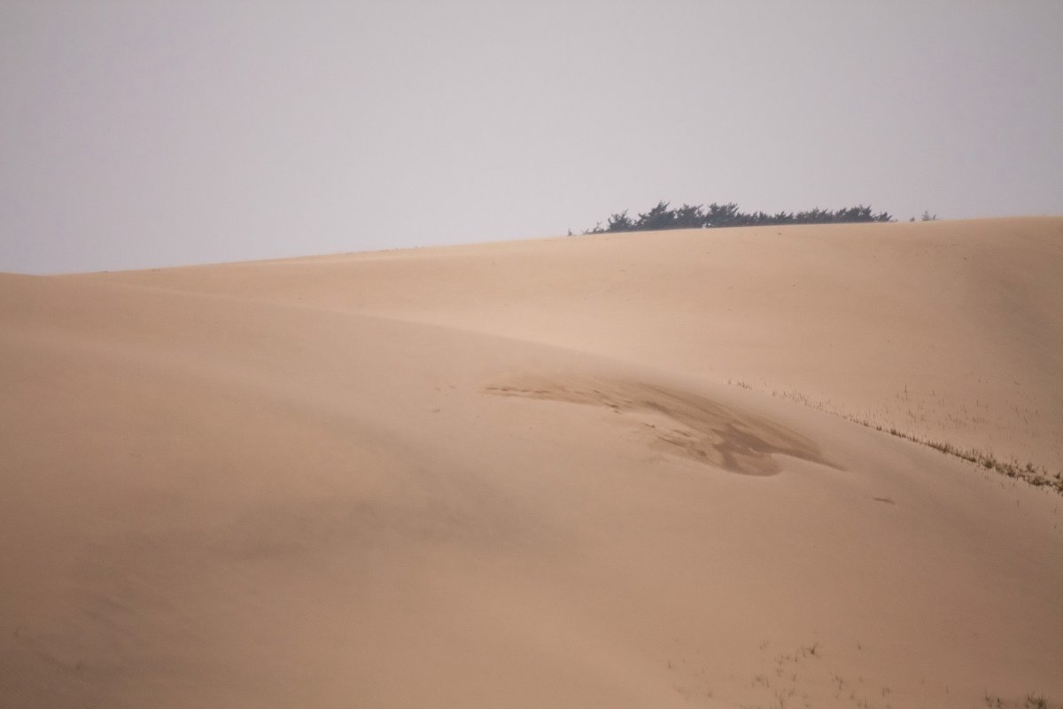 desert dune pictures