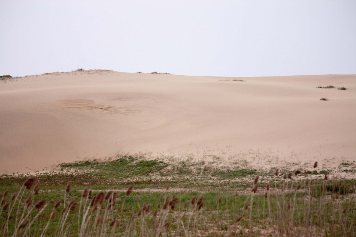desertification pictures