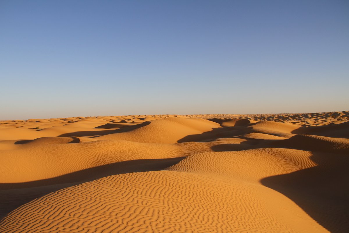 Gobi Desert Pictures